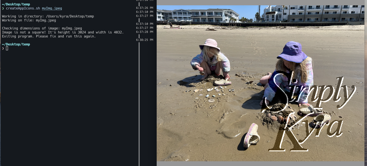 Image is a screenshot of my computer screen. On the left is the terminal showing the same text as directly above this image. To the right is the original image in Preview.