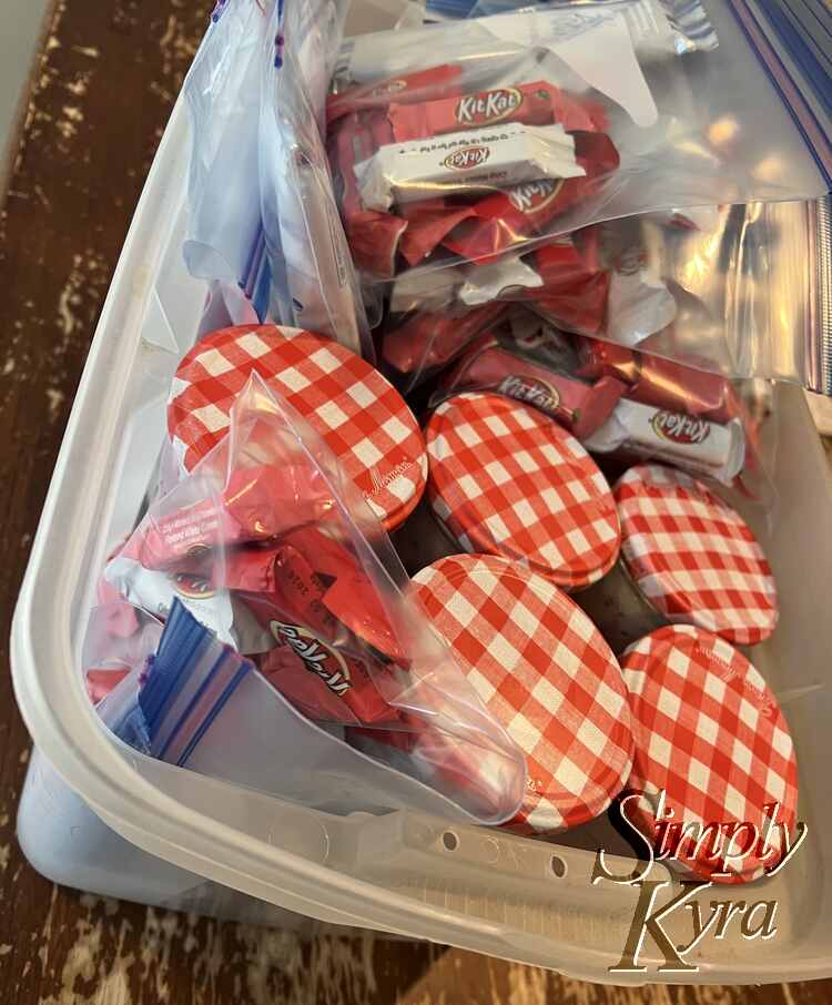 Image shows the slime jars and freezer bags gathered up in an opaque frosted plastic bin. 