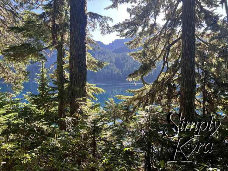 View of Mowich lake through the trees.