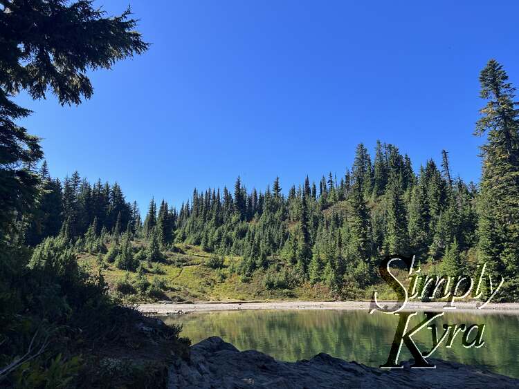 Heading back to the trail offered a different view of this lake offshoot.