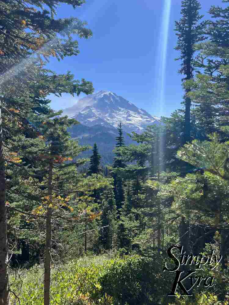 Mount Rainier/Tahoma frame by green trees and sunbeams.
