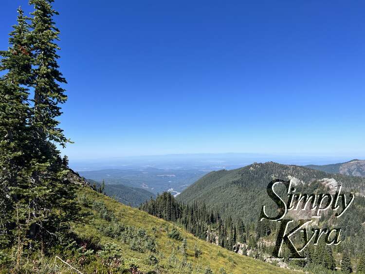 If you can bear to look away from Mount Rainier/Tahoma this view facing the other way was incredible.