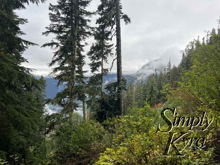 Image shows a couple trees in the foreground and smaller distanced trees and bushes to the right in the fore and midground. The snow capped mountains remain in the background.