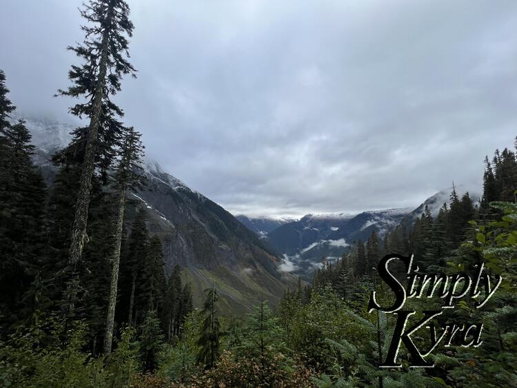 Image shows a couple solitary large trees to the left and smaller trees covering the rest of the foreground with the snow capped mountains in the background.