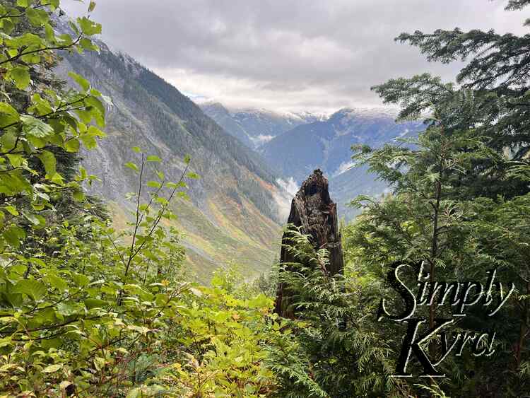 Image shows trees framing the photo to the left, right and bottom. A broken trunk sits to the right center with a view of the mountains in the background.