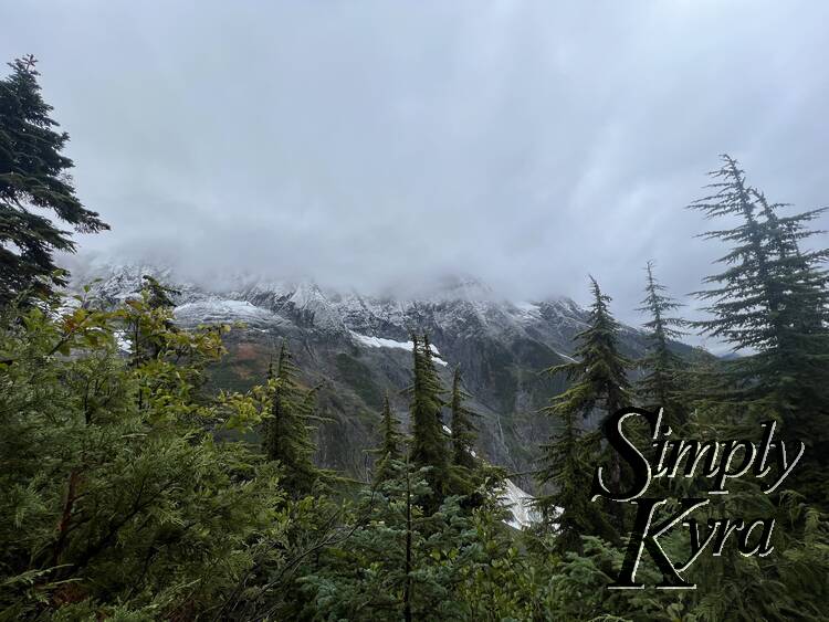 Image shows trees in the foreground with the snow capped mountains in the background.