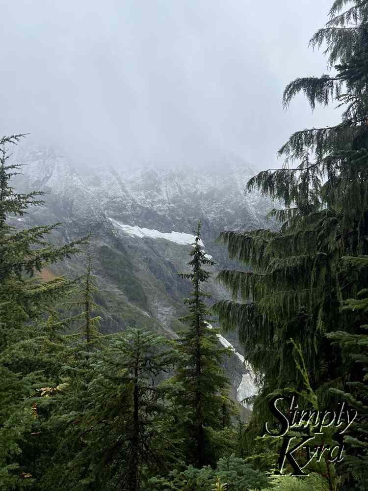 Image shows trees in the foreground with the snow capped mountains in the background.