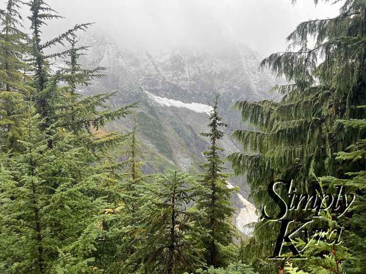 Image shows trees in the foreground with the snow capped mountains in the background.