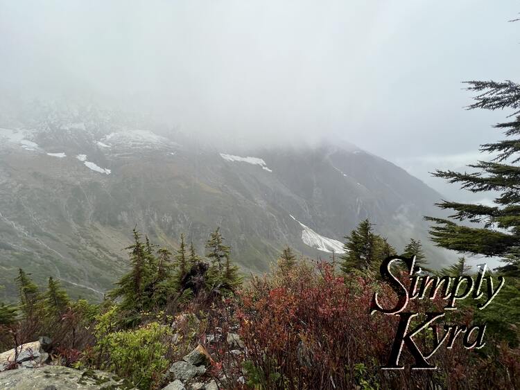 Image shows trees in the foreground with the snow capped mountains in the background.