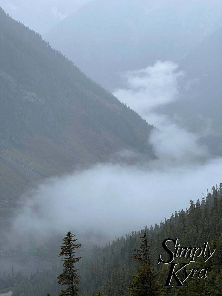 Similar image as previous but now the fog in the valley is the forefront of the piece with the treed hills framing it. 