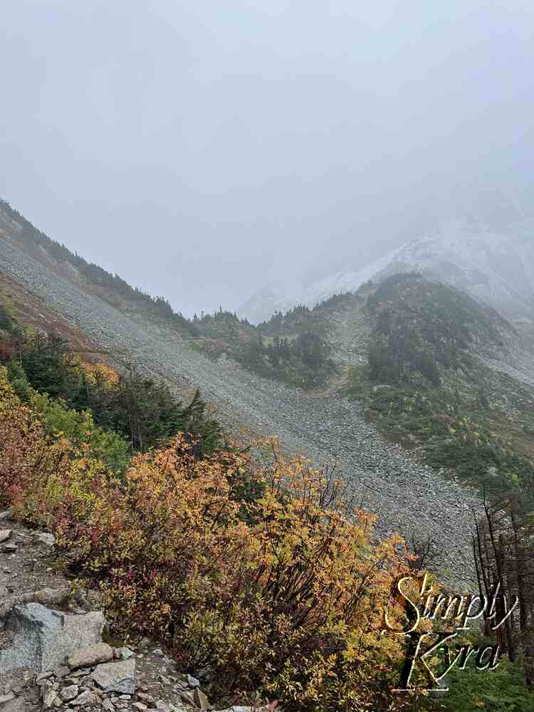 Image shows the small path through the talus fields with the mountain in the background and plants in the foreground. If you look closely you can see two specks of orange of two hikers in the distance traversing the rocks. 