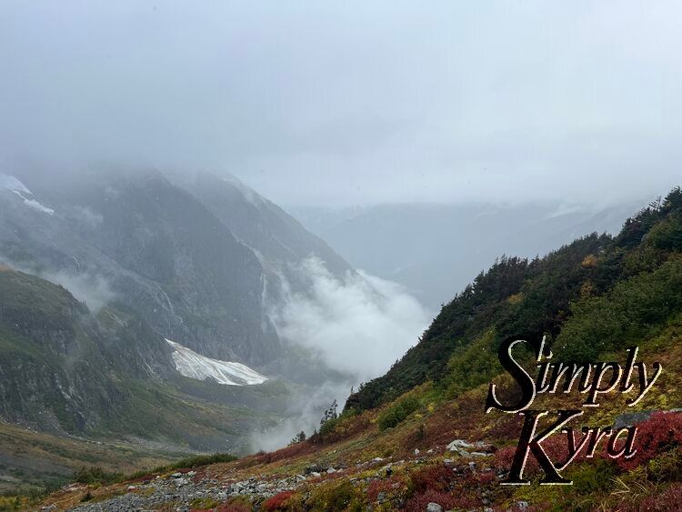 Image shows a hill along the bottom and rising on the right full of rocks and green, yellow, and red plants. The bright color offsets the white and grey of the mountains, clouds, fog, and glacier in the background.