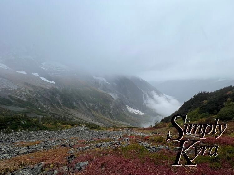 This image is similar to the before one but is panned a bit out to show more red hued plants along the bottom and grey rocks. 