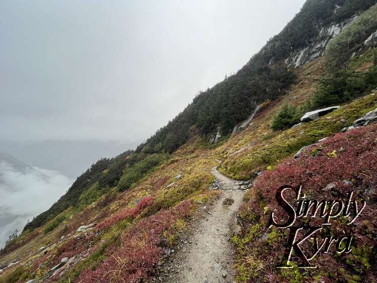 Image shows a grey path on a hill surrounded by green, yellow, and red. The background is greyed out with fog and clouds. 