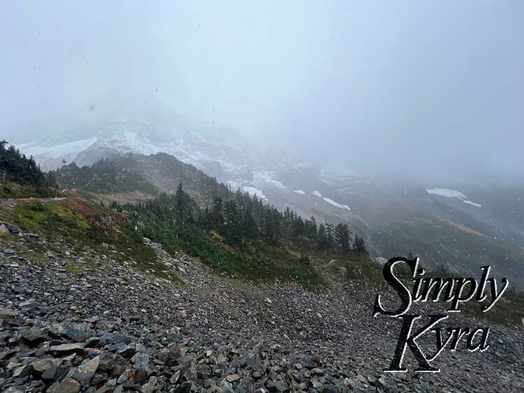 Image shows rocks in the foreground, trees in the mid ground, and snow covered patches poking out from the fog in the background. 