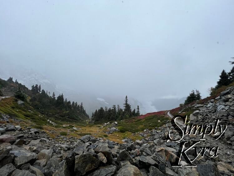 Rocks strewn the back of the image with green, yellow, and red patches in the mid ground and trees behind. The background is all shades of grey with glacier, mountains, and fog. 