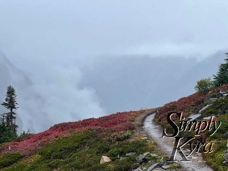 Image shows a hill of green and red with a wet dirt path cutting through. Trees stand to the left and right highlighting the hill height and framing the clouds against the greyed mountainous hazy background. 