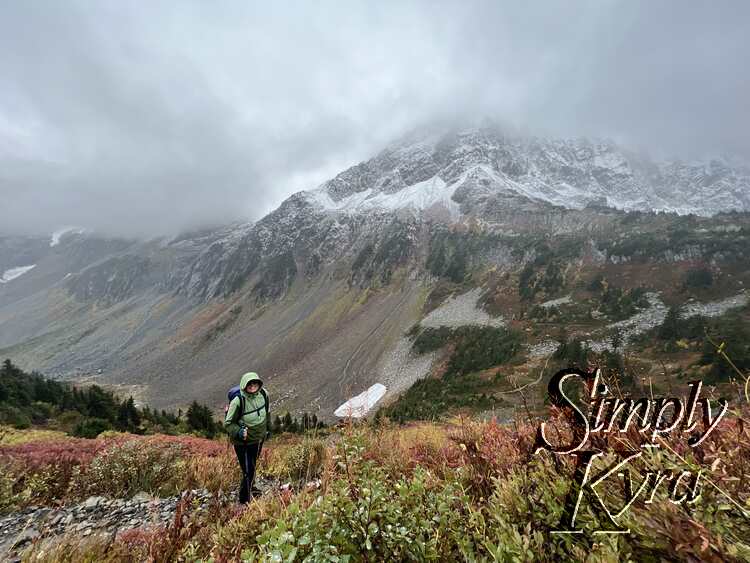 Image shows a field of green, red, and yellow on the lower quarter of the screen with me standing on a mostly hidden path to the left of it. The rocky hills and snowy mountain stands behind fog strewn.