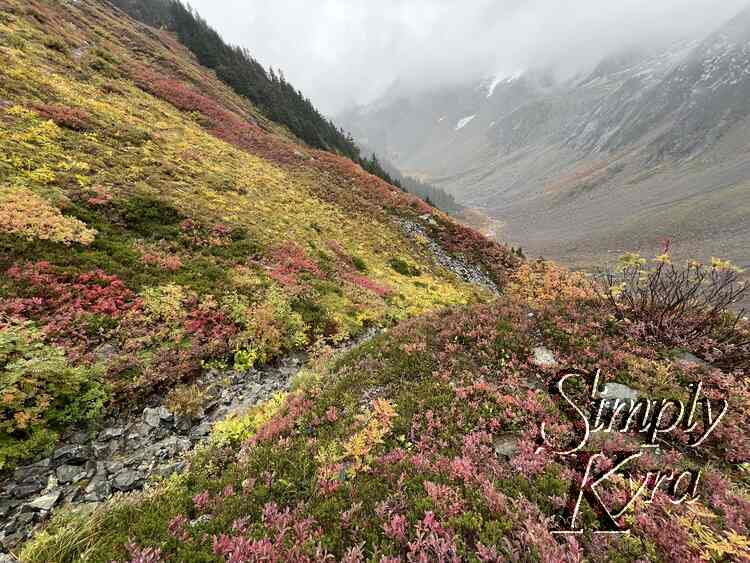 Red, yellow, and green hill with a rocky path along the middle. In the background is a mountainous hill that's fog strewn. 