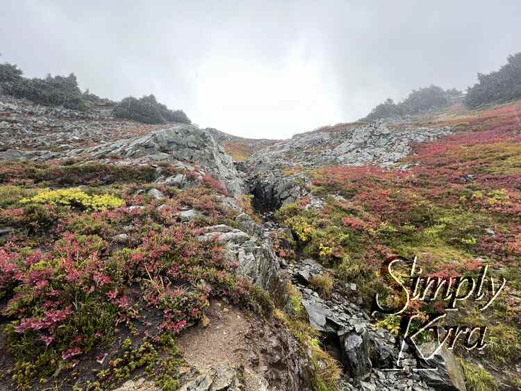 A hil of red, green, yellow, and rock is cut through with a small rippling waterfall. 