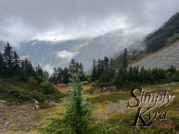 Image shows trees in the foreground with the snow capped mountains in the background.