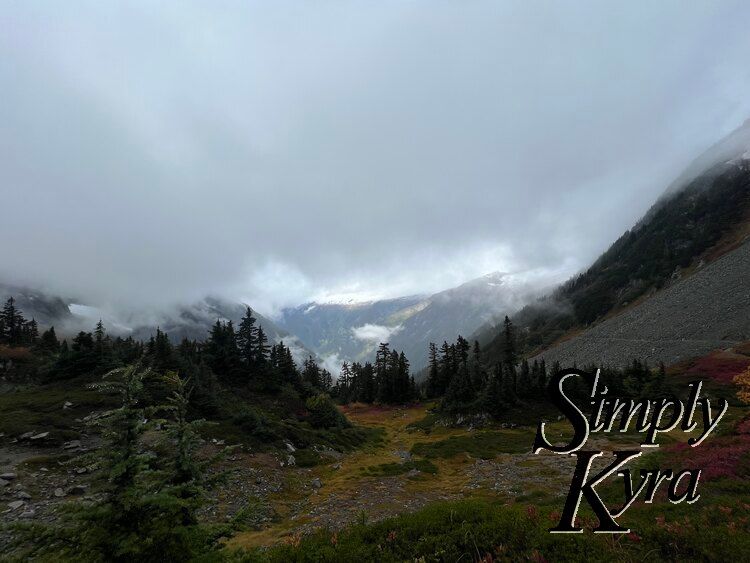 Image shows trees in the foreground with the snow capped mountains in the background.