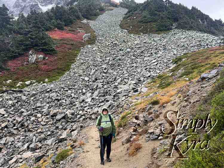 I stand on the dirt path in front of a talus field with green and red grass behind and green trees. 