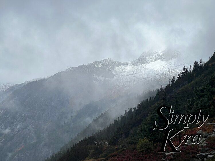 Image shows a green treed hill rising to the right with layers of treed hils and mountains behind. Each layer is made more obvious by the opacity of the fog in front of it. 