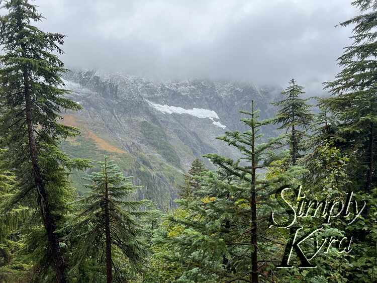 Image shows trees in the foreground with the snow capped mountains in the background.