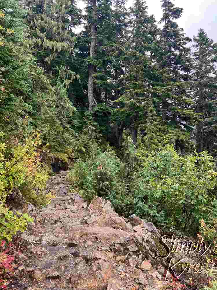 The rocky and red-tinged pathway cuts through the green and yellow trees surrounding it. 