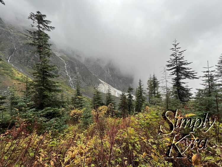 Image shows trees in the foreground with the snow capped mountains in the background.