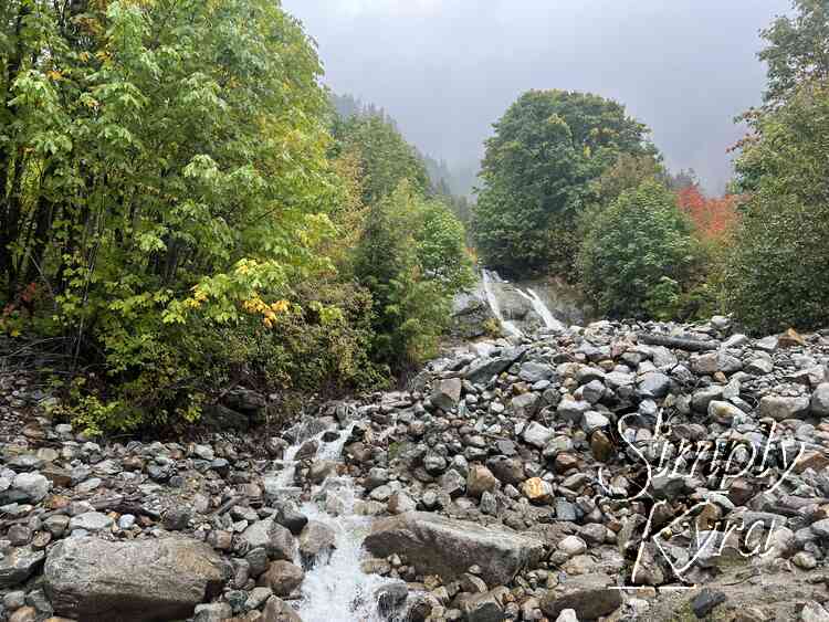 A waterfall and creek burbles over the rocks surrounded by trees in green with hints of yellow and red. 