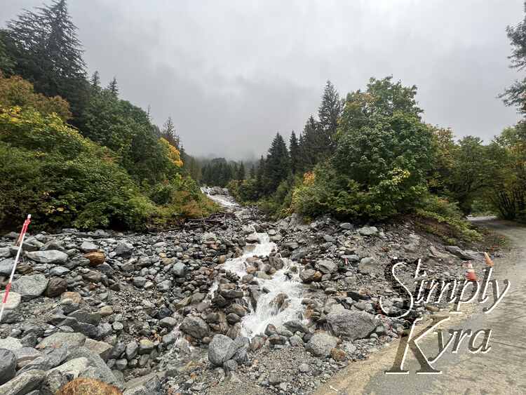 Another view of the stream but this time panned out to see a bit more of the road and the traffic cones lining the edge to help highlight where not to go. 