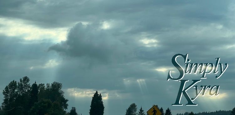Image shows the top of trees and a pedestrian sign with clouds above and sunbeams shining through. 