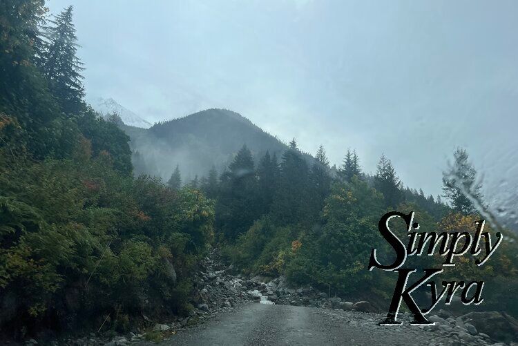 Photo of the mountain wreathed in fog in the background with a stream and trees surrounding the road.