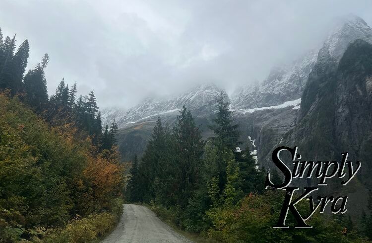 Image of the single lane road surrounded in trees with snow capped fog strewn mountains to the right. 