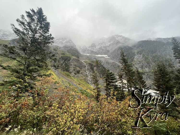 Image shows trees in the foreground with the snow capped mountains in the background.