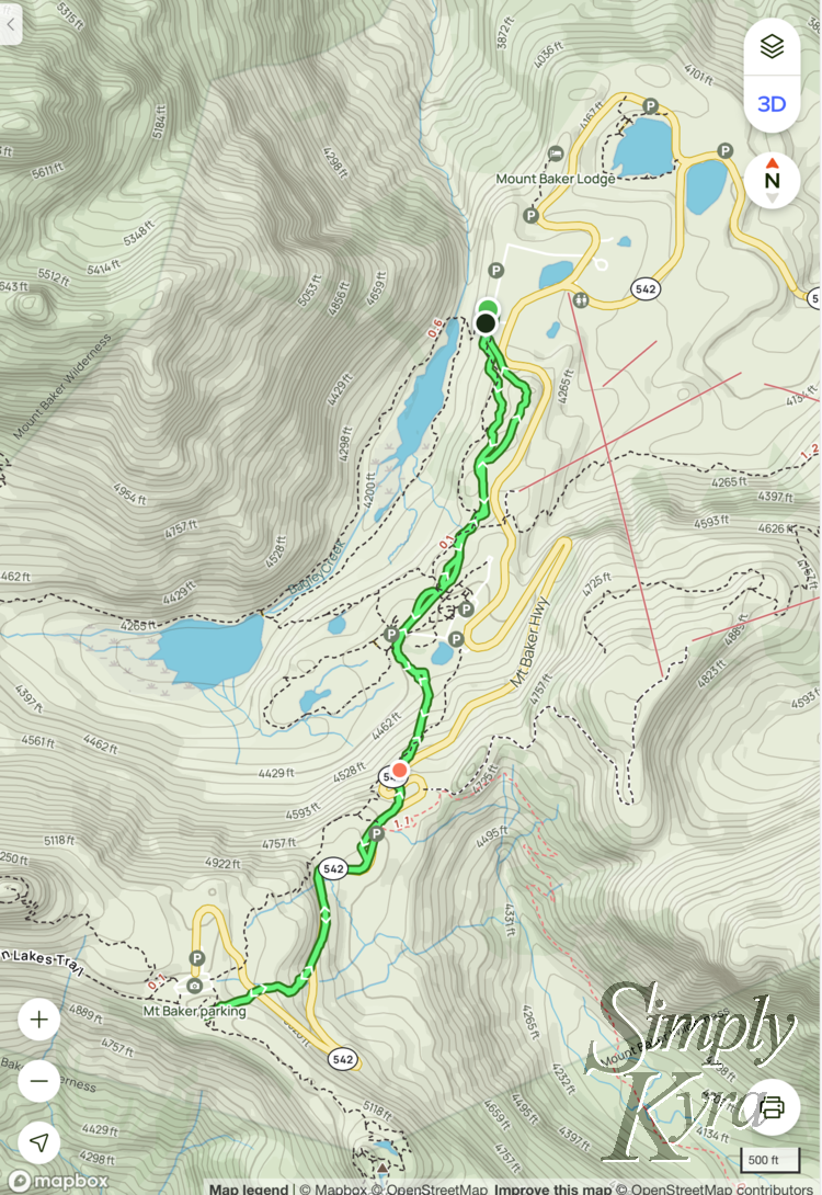 Image shows the snowshoe path taken from AllTrails that we took that day.