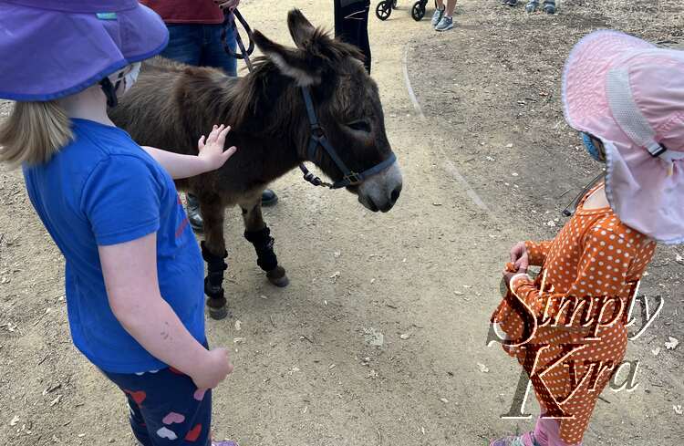 Image shows Ada petting a leashed donkey as Zoey watches. 