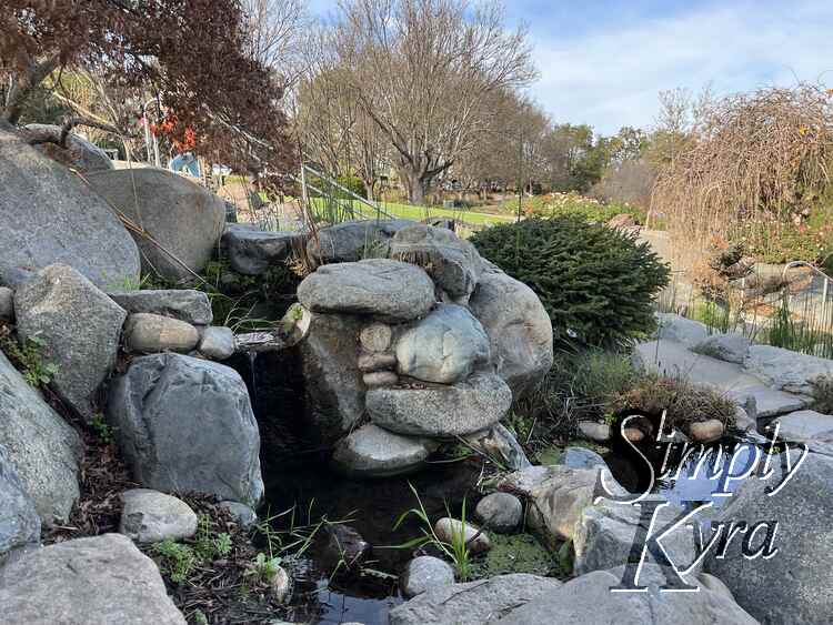 Image shows a pool of water surrounded by rocks and a guardrail behind with a spot of orange hiding behind. 