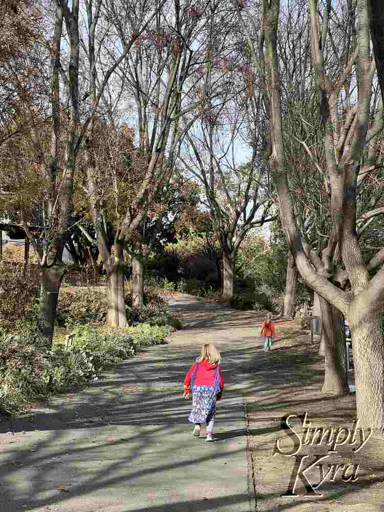 Image shows the girl ahead on the path with trees on either side. 