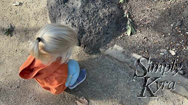 Zoey crouched down staring at the ant trail. 