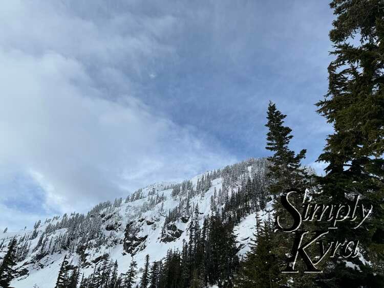 Image shows a hill covered with trees, snow, and some fog with a blue cloud streaked sky behind. 