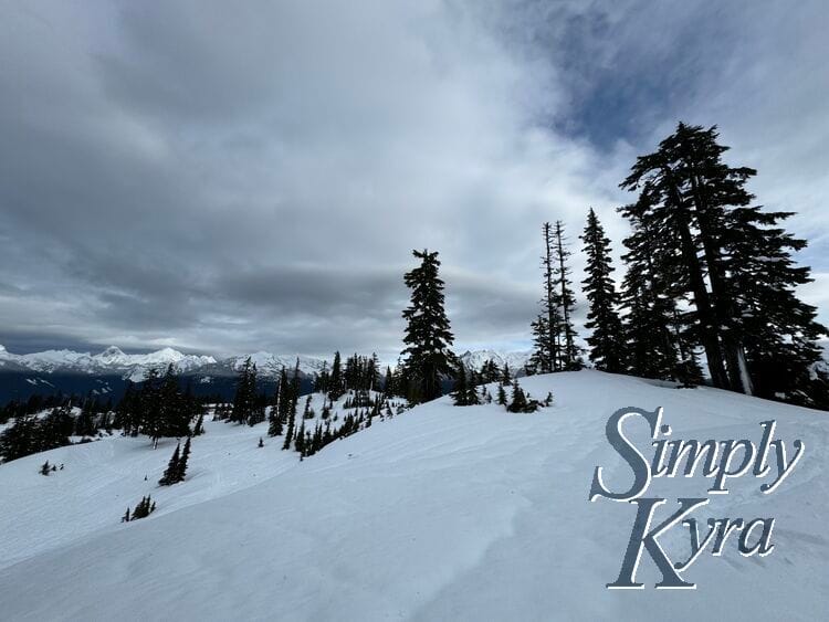 Snowy hill in the foreground, trees in the middle range, and mountains in the background.