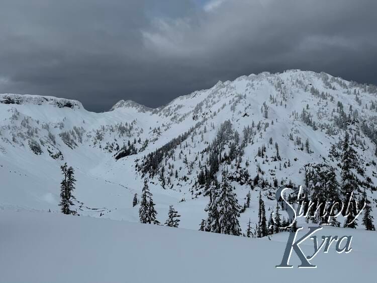 Snowy slopes, trees, Ridgeline, and a more cloudy day in the foreground, trees in the middle range, and mountains in the background.