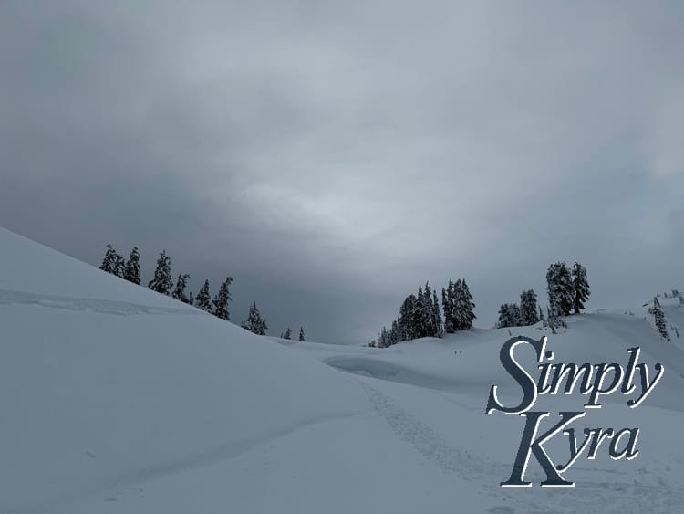 Empty slope with tracks and a hint of trees beyond the hill line.