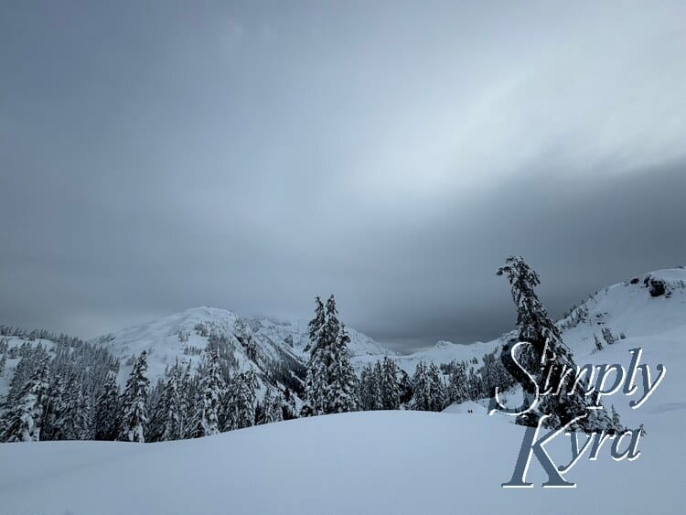 Snowshoeing in the Lowlands of Mount Baker