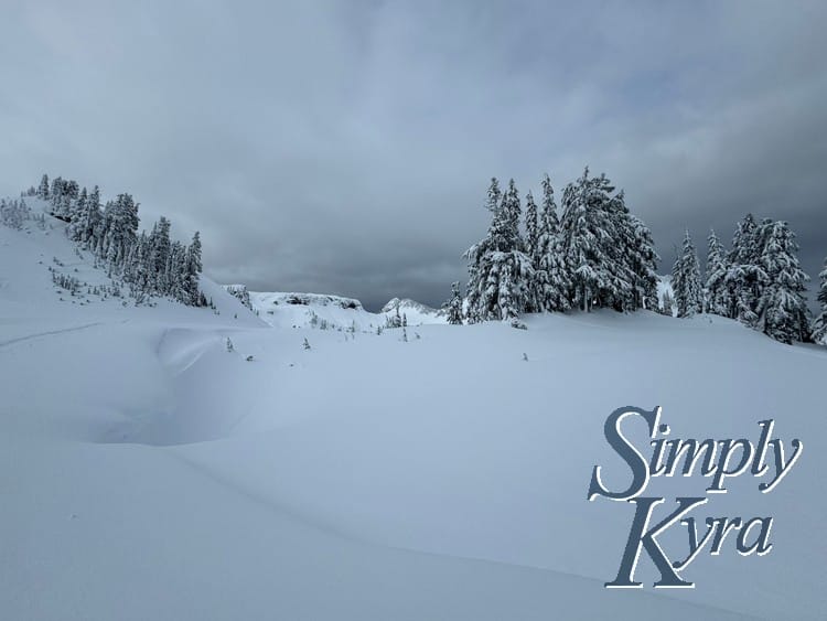 Snowy hill in the foreground, trees in the middle range, and mountains in the background.