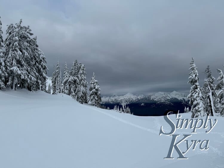 Snowy hill in the foreground, trees in the middle range, and mountains in the background.