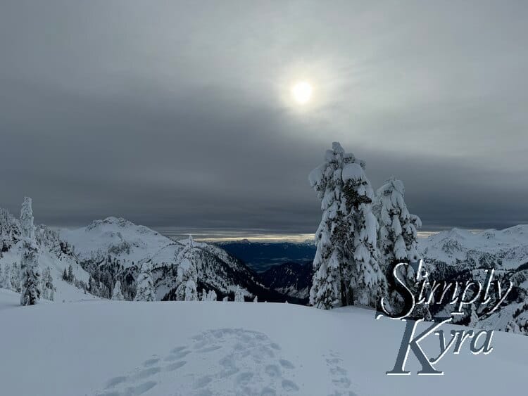 Snowshoeing in the Lowlands of Mount Baker